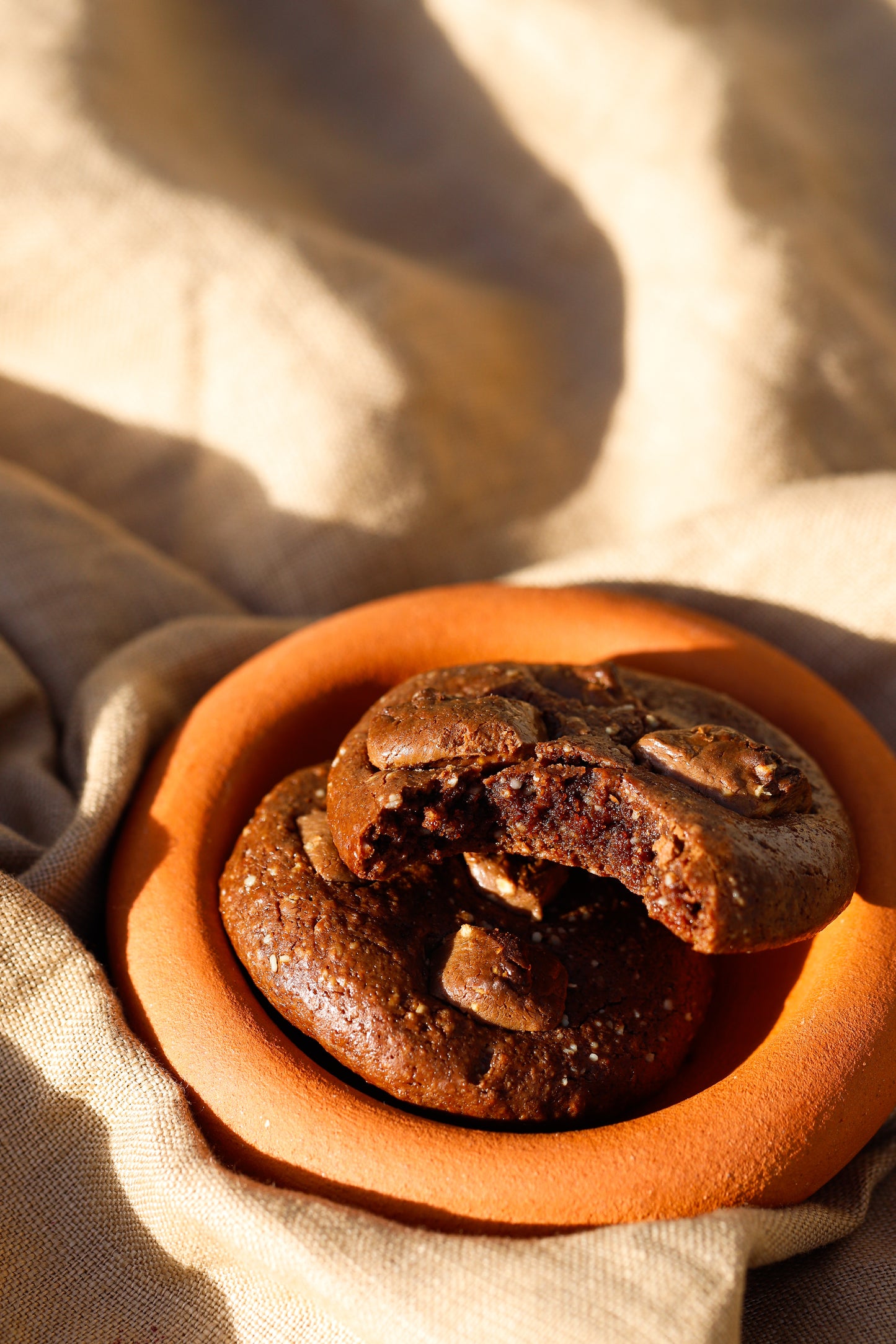 Chocolate Brookies