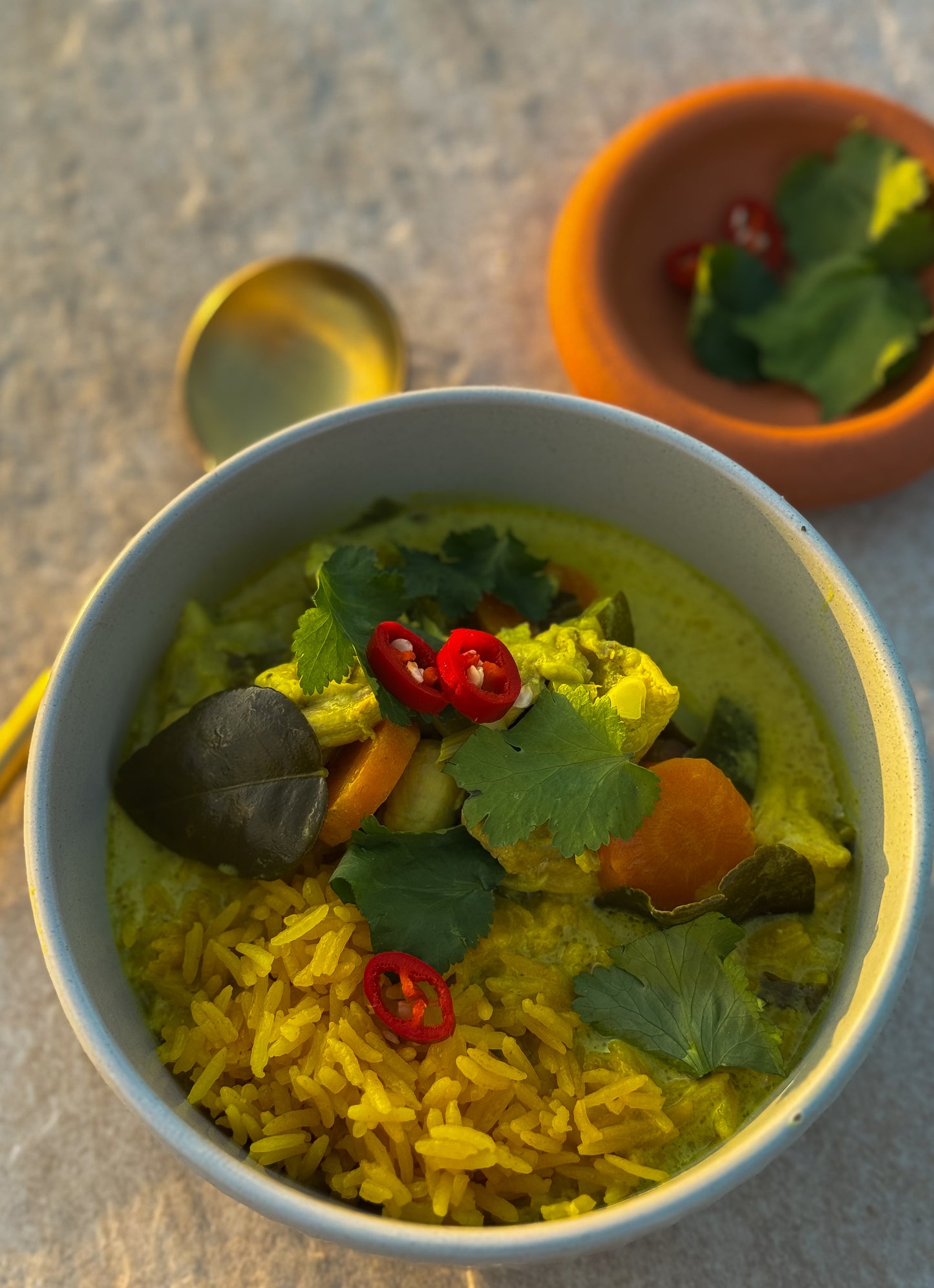 Anti-Inflammatory Healing Curry