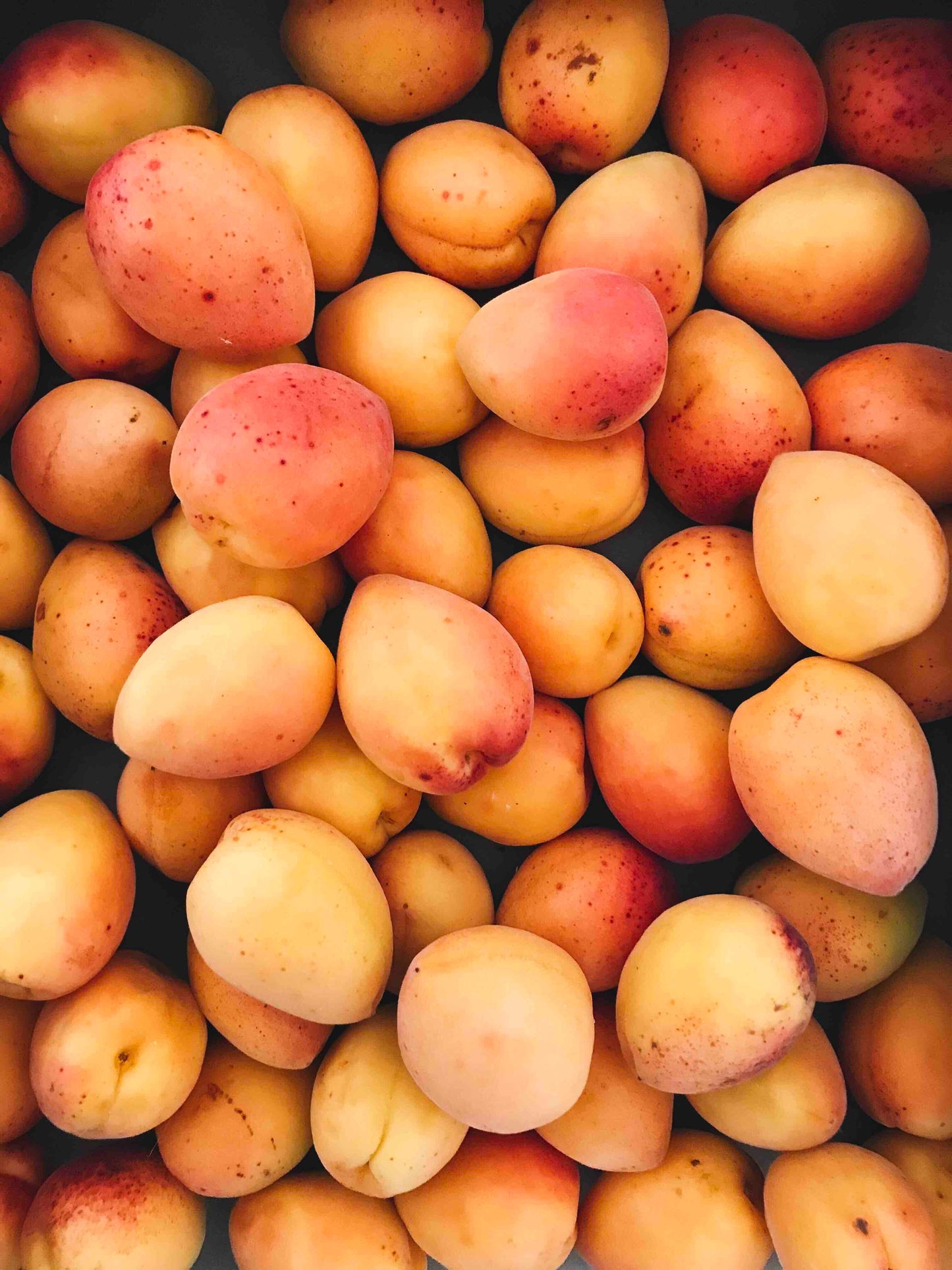 Mango + Foraged Ice Cream