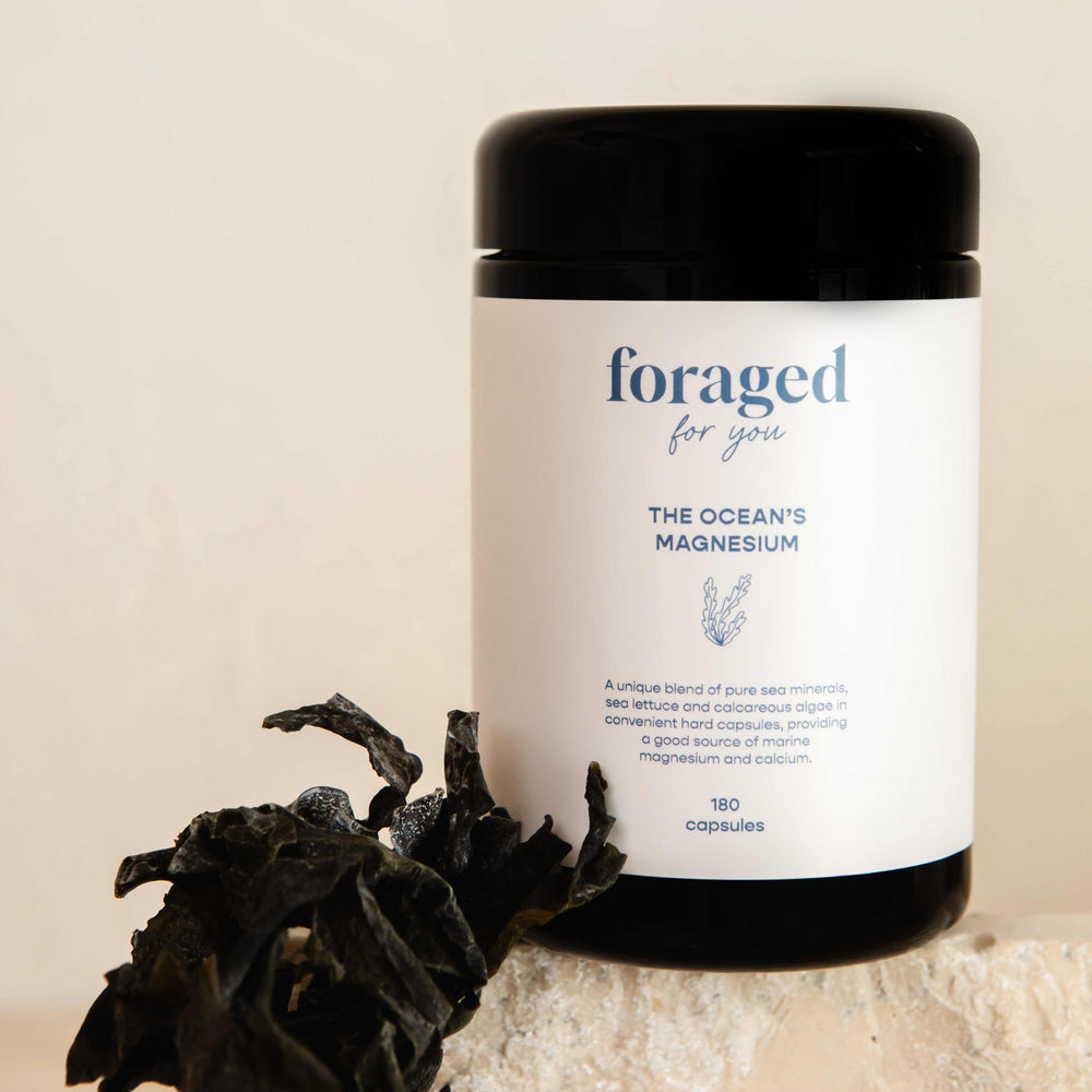 
                  
                    The Ocean’s Magnesium
                  
                