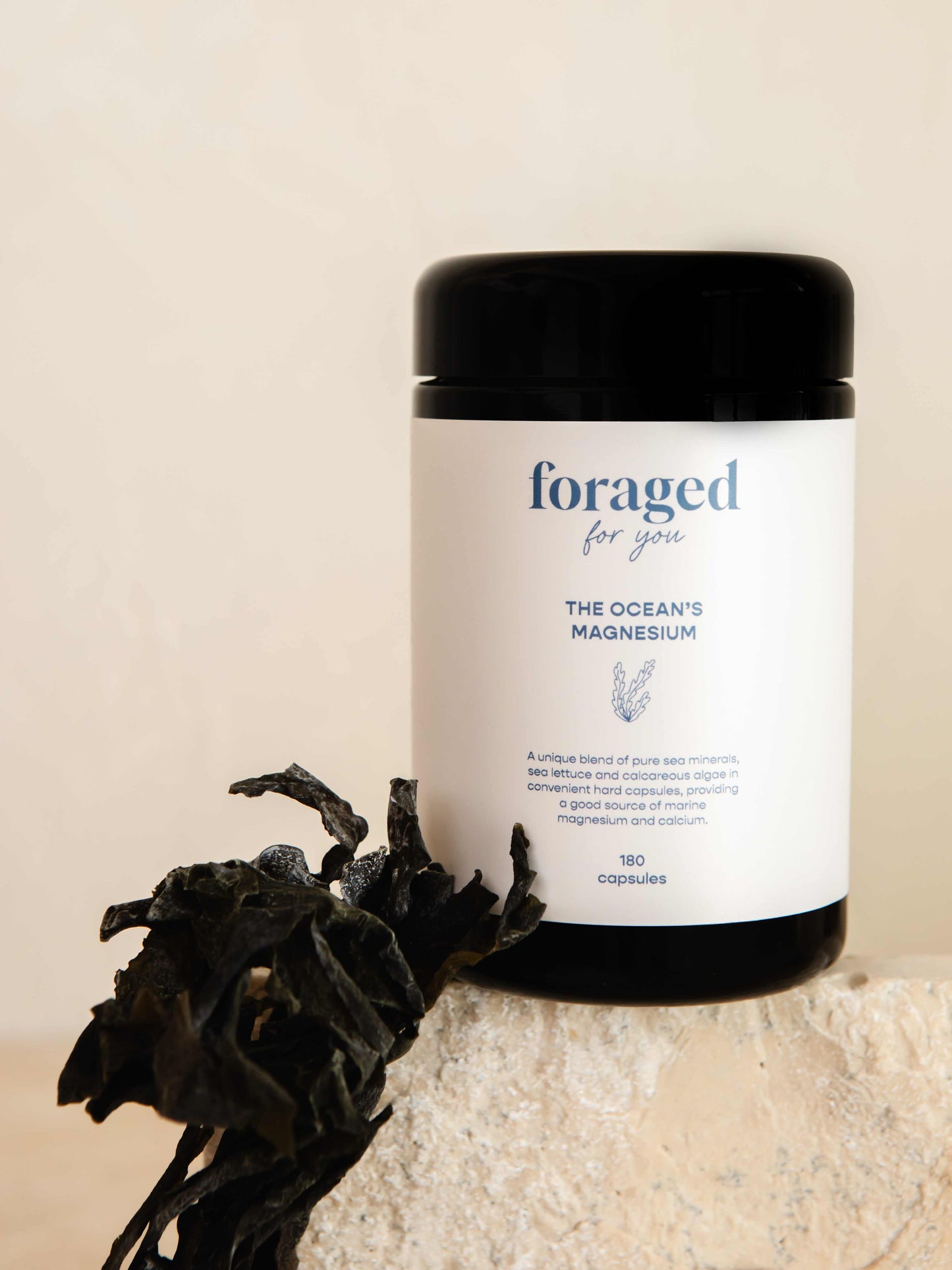 
                  
                    The Ocean’s Magnesium
                  
                