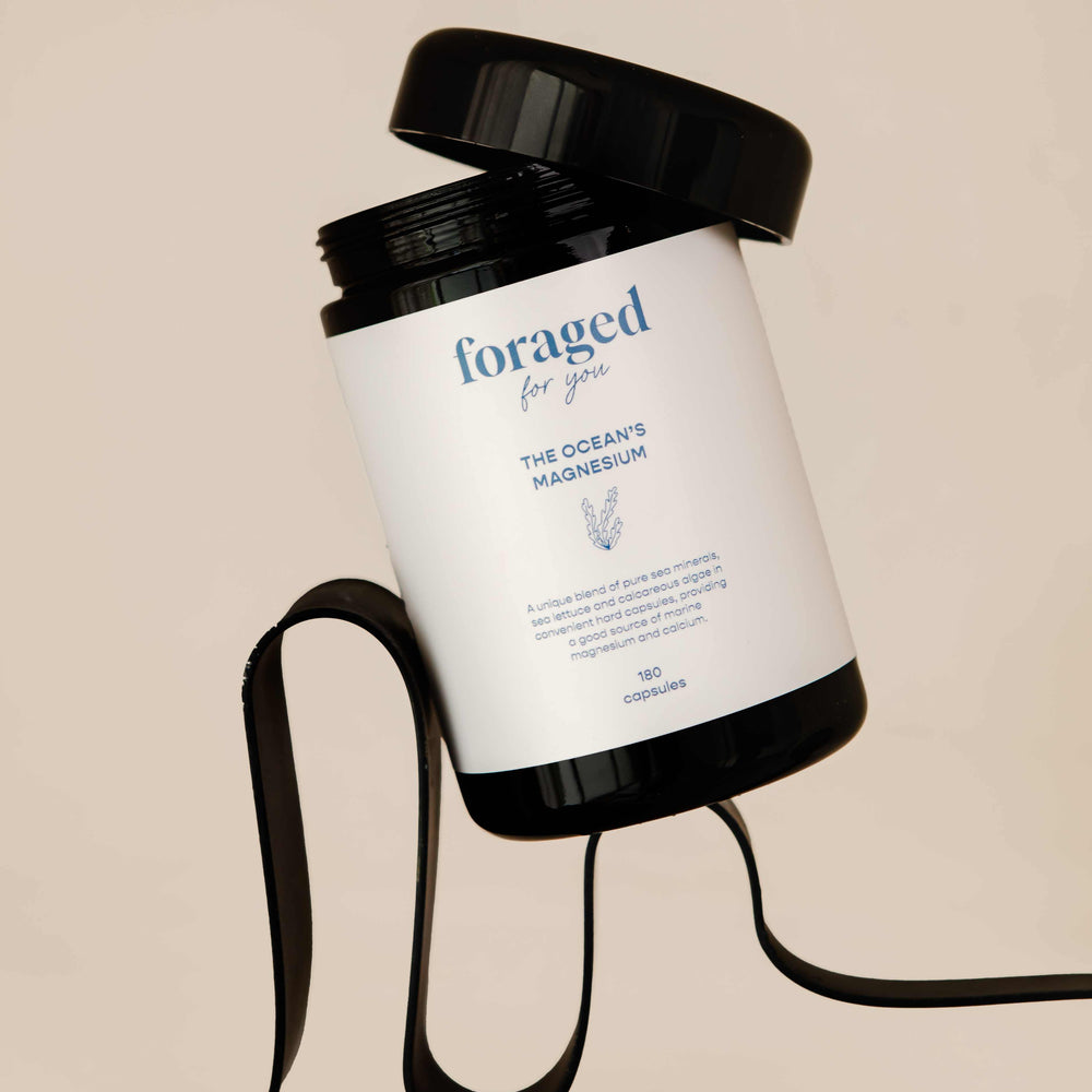 
                  
                    The Ocean’s Magnesium
                  
                