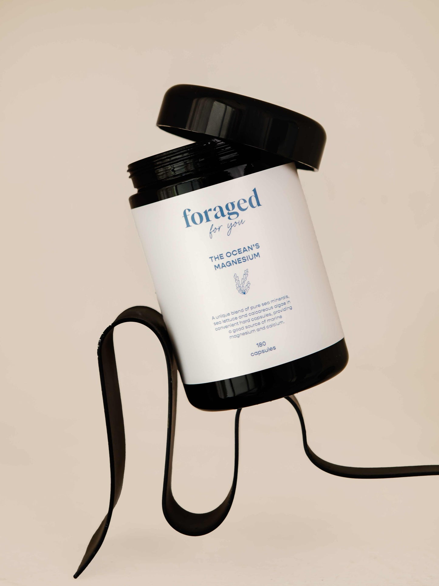 
                  
                    The Ocean’s Magnesium
                  
                