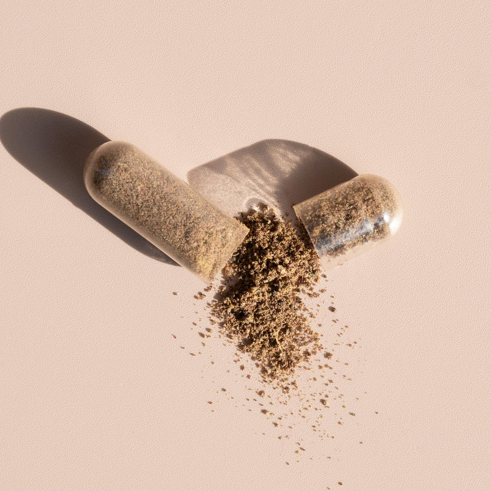
                  
                    The Mothers Blend Capsules // PRE-ORDER
                  
                