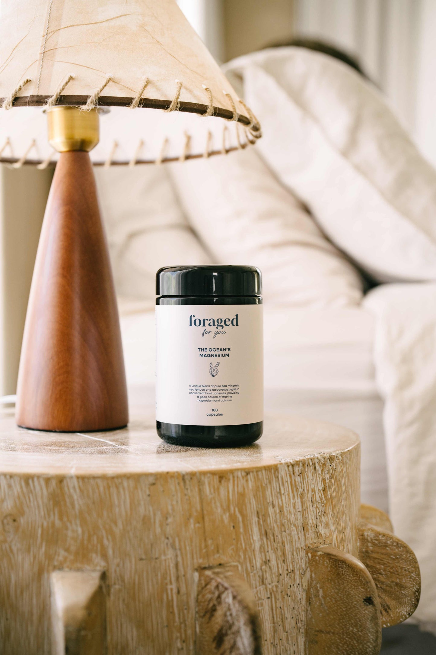 
                  
                    The Ocean’s Magnesium
                  
                