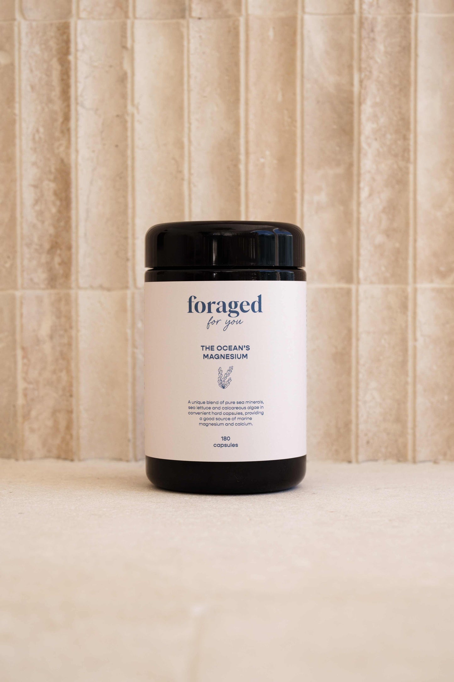 
                  
                    The Ocean’s Magnesium
                  
                