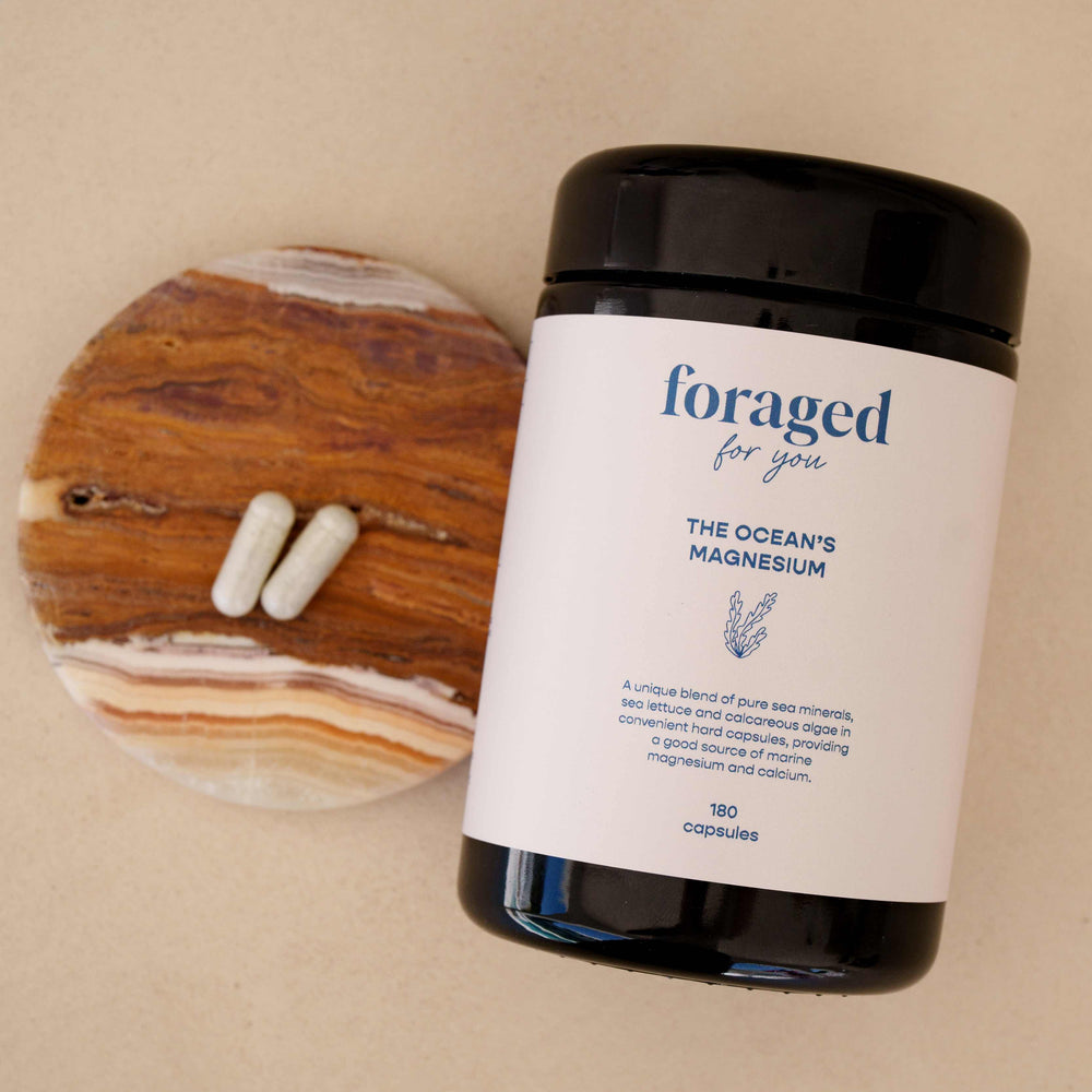 
                  
                    The Ocean’s Magnesium
                  
                