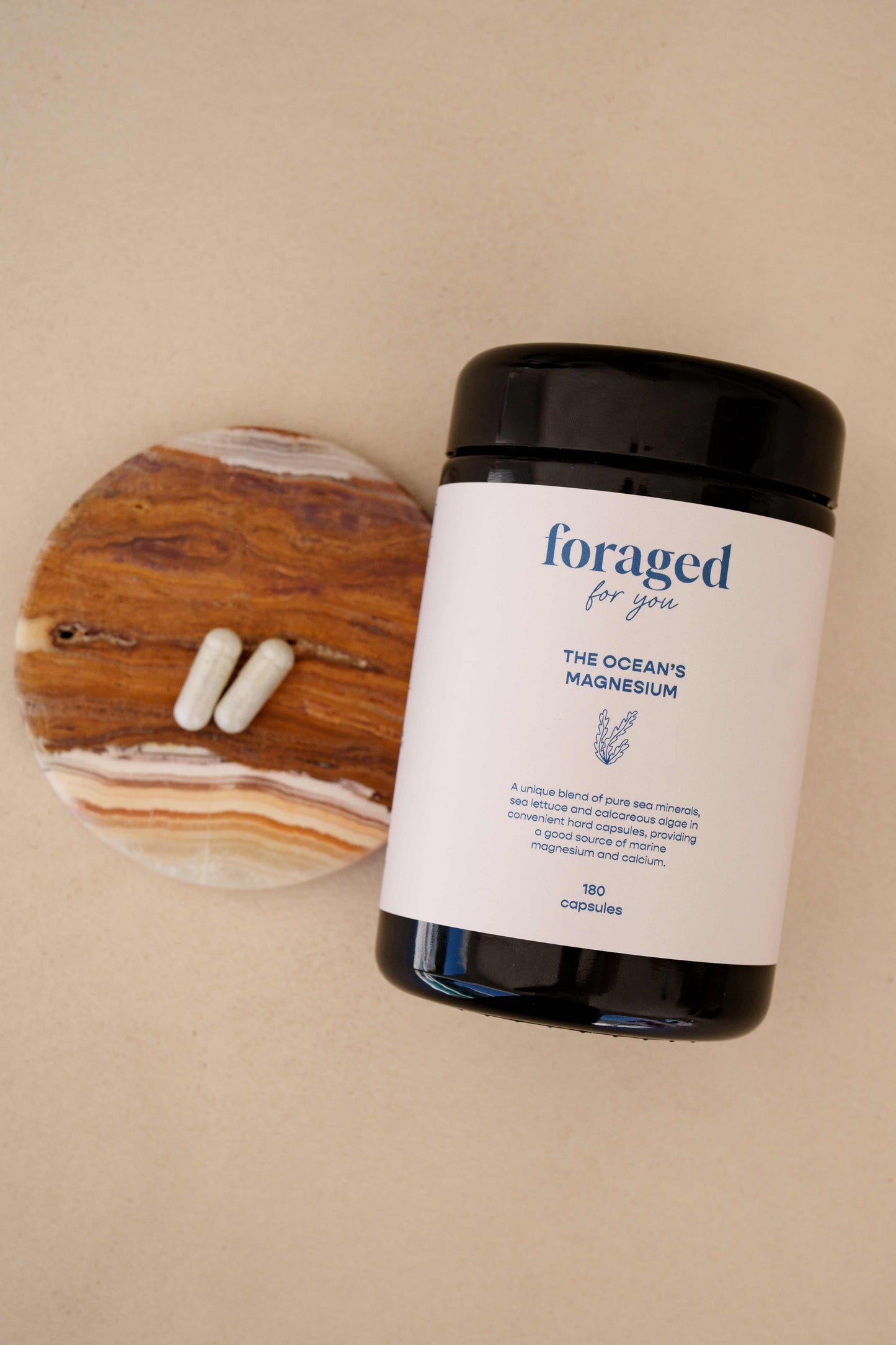 
                  
                    The Ocean’s Magnesium
                  
                