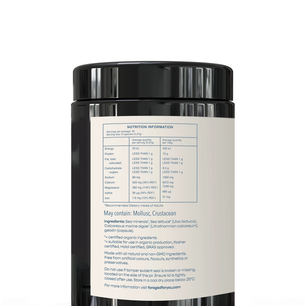 
                  
                    The Ocean’s Magnesium
                  
                