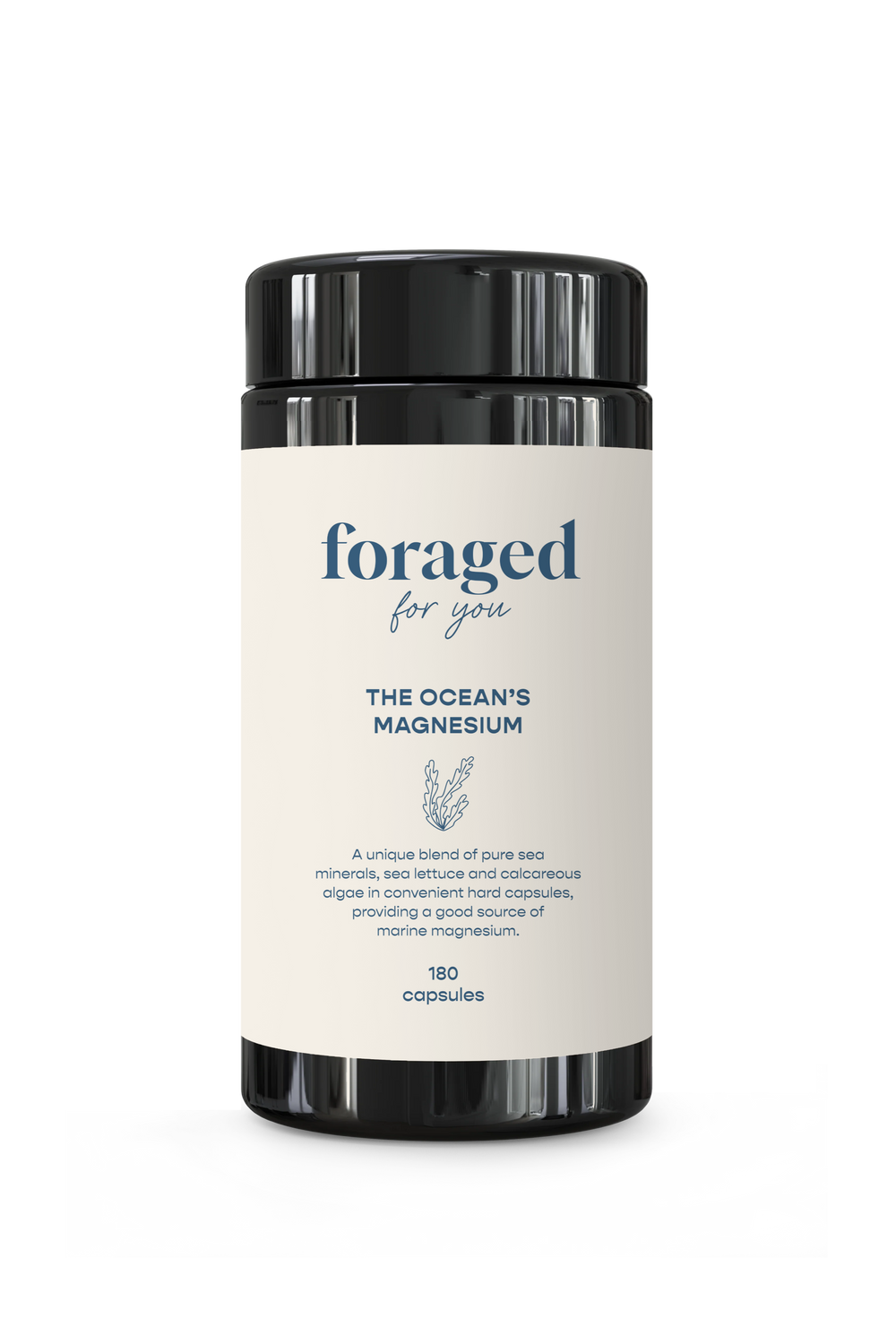 The Ocean’s Magnesium // PRE-ORDER